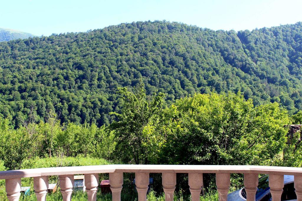 Family & Friends Guest House Dilijan Exteriör bild